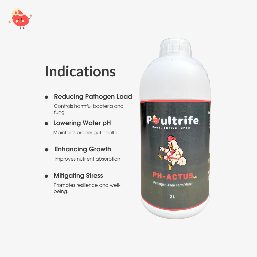 PH-ACTUS WS – Clean Water, Healthy Poultry