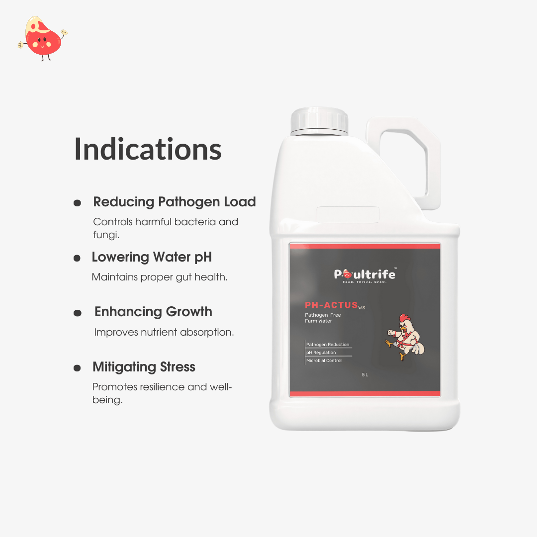 PH-ACTUS WS – Clean Water, Healthy Poultry