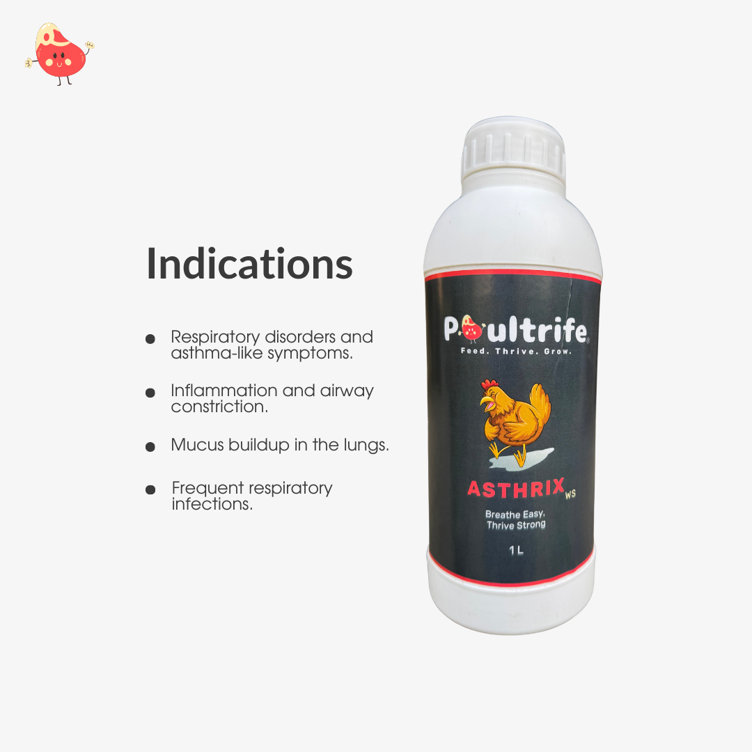 ASTHRIX WS – Herbal Relief for Respiratory Health in Poultry