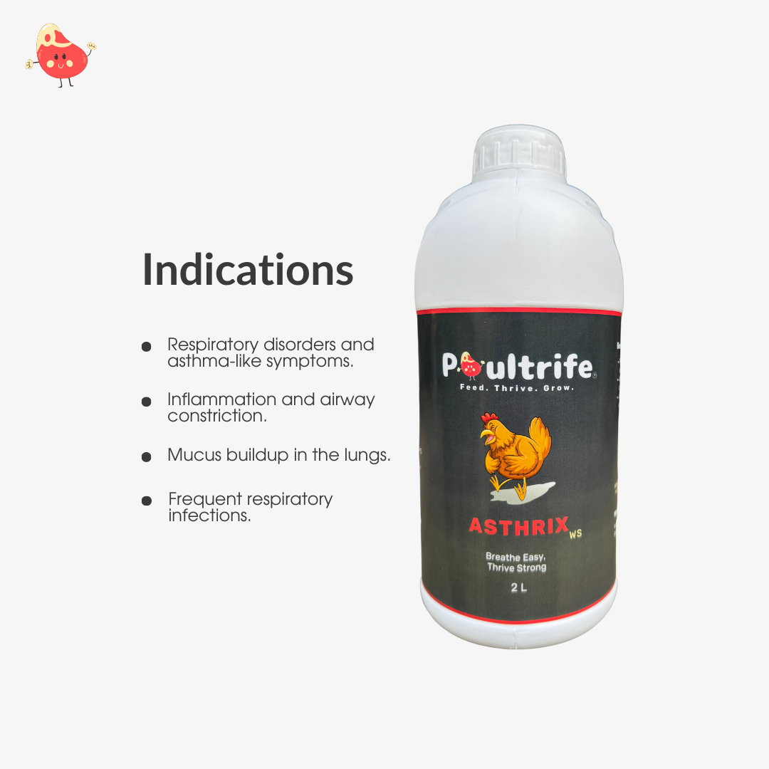 ASTHRIX WS – Herbal Relief for Respiratory Health in Poultry
