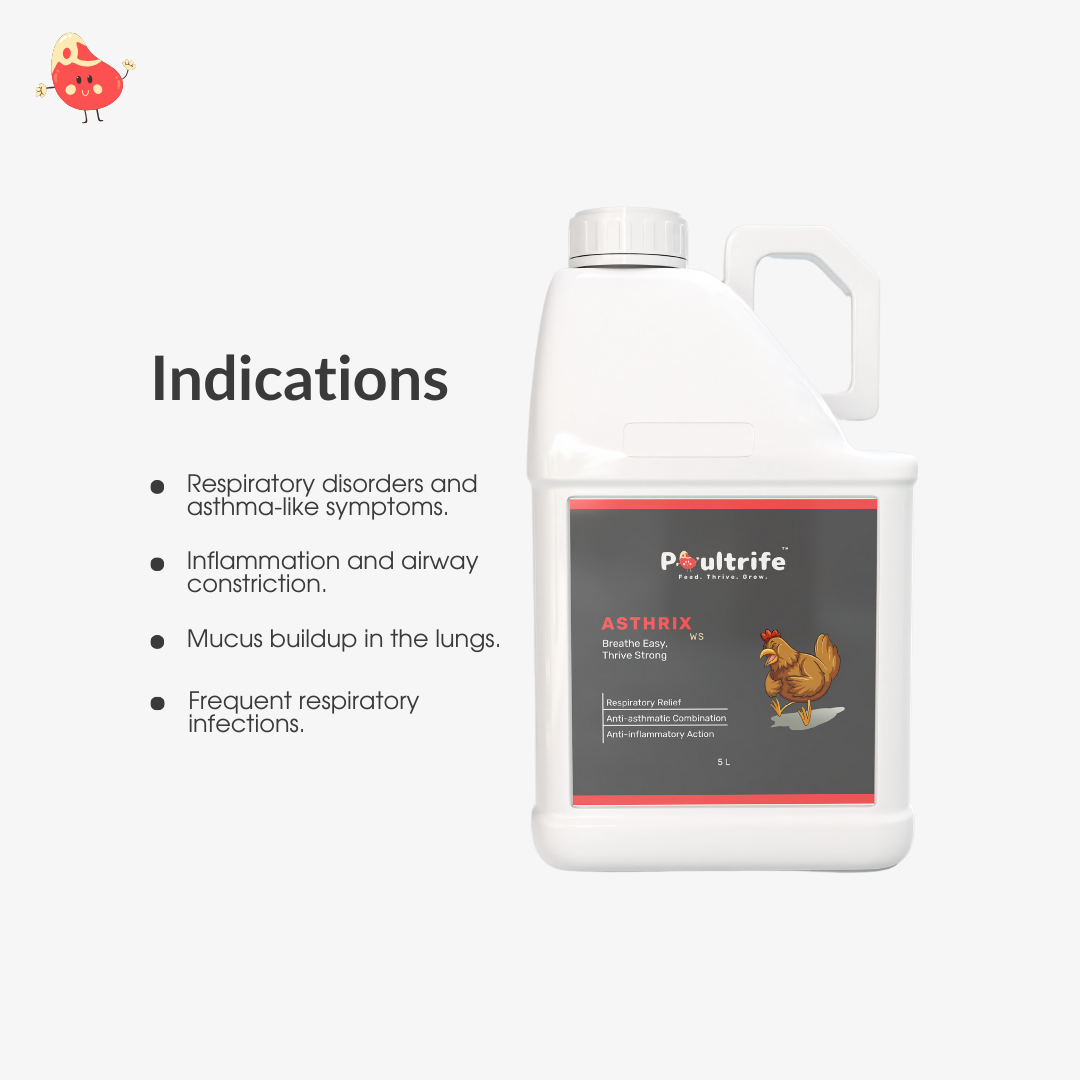 ASTHRIX WS – Herbal Relief for Respiratory Health in Poultry