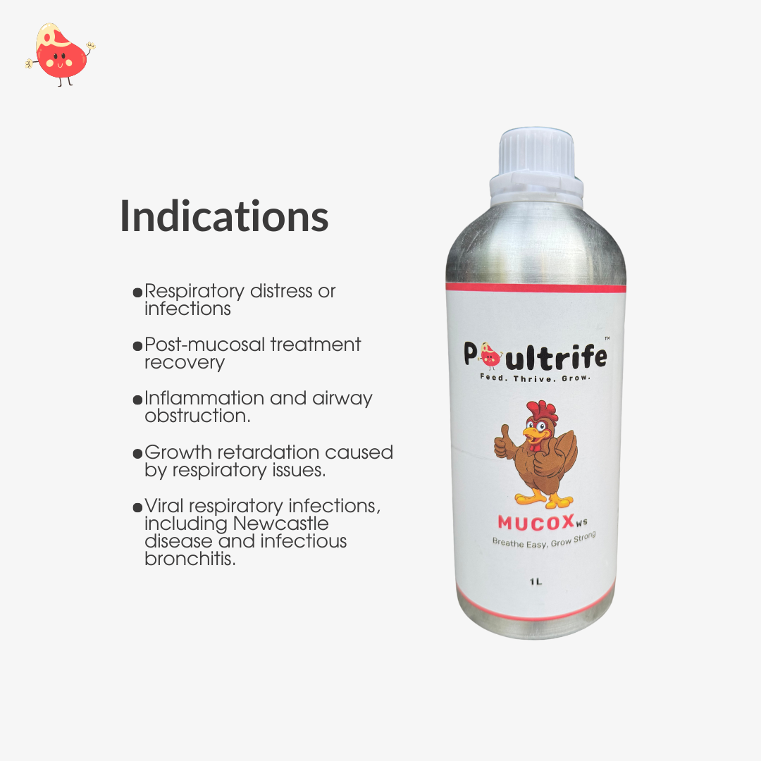 MUCOX WS – Herbal Respiratory Tonic for Poultry