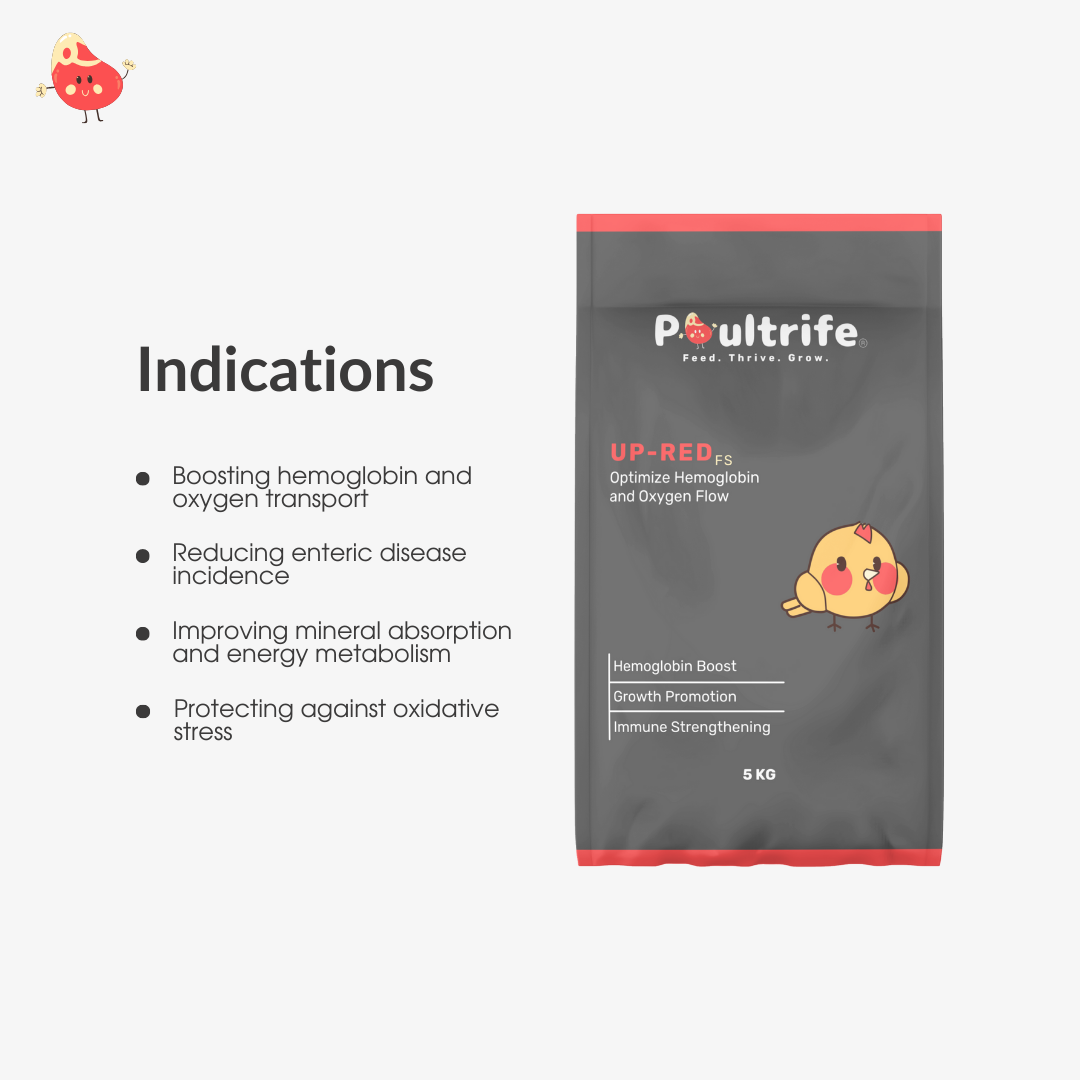 UP-RED FS – Hemoglobin Booster for Growth & Immunity