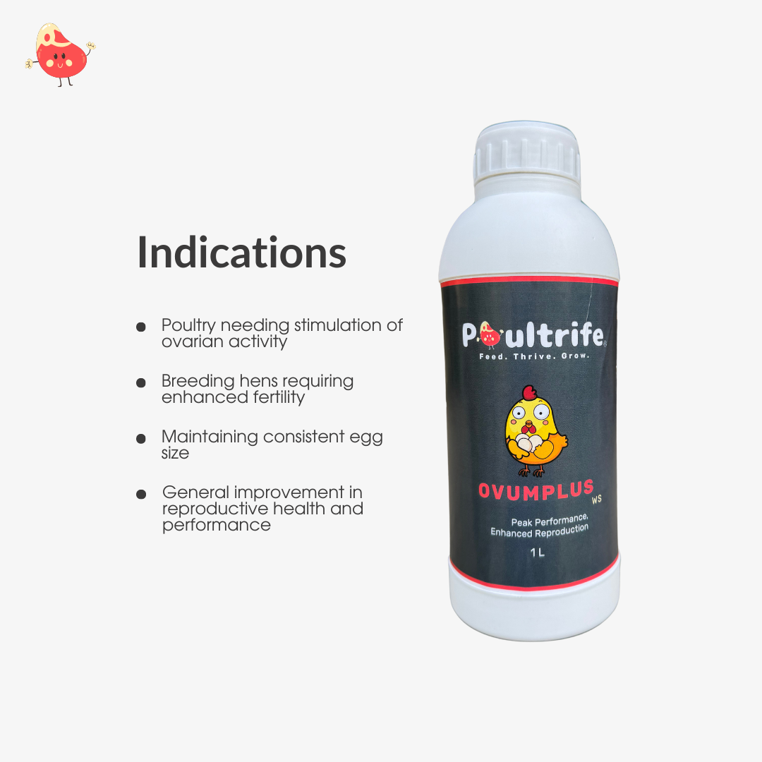 OVUMPLUS WS – Reproductive Performance via Water