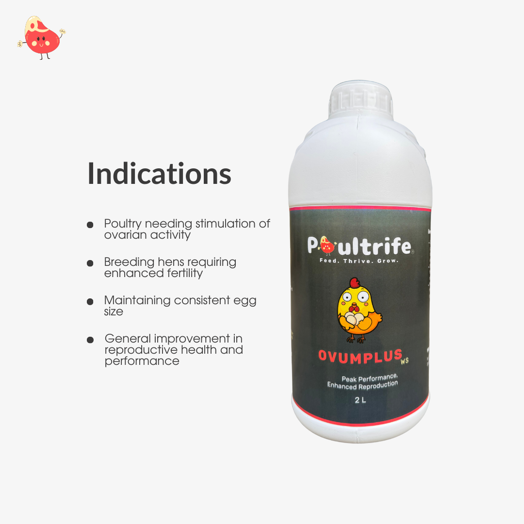 OVUMPLUS WS – Reproductive Performance via Water