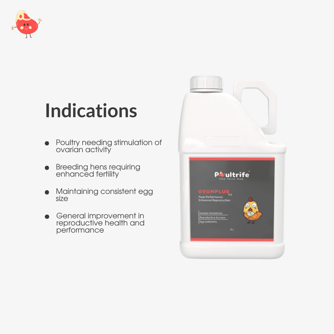 OVUMPLUS WS – Reproductive Performance via Water