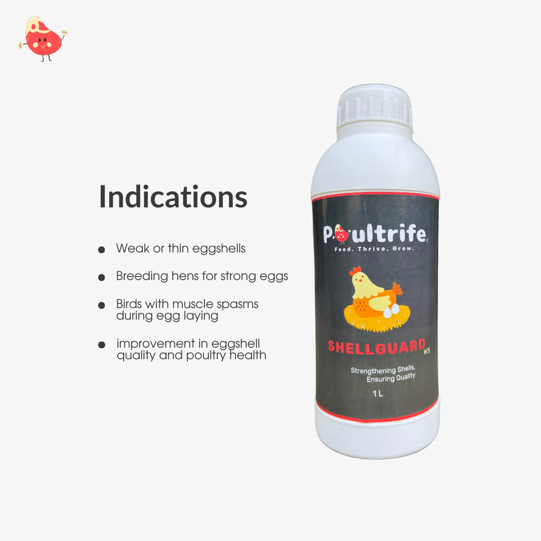 SHELL GUARD WS – Eggshell Quality via Water