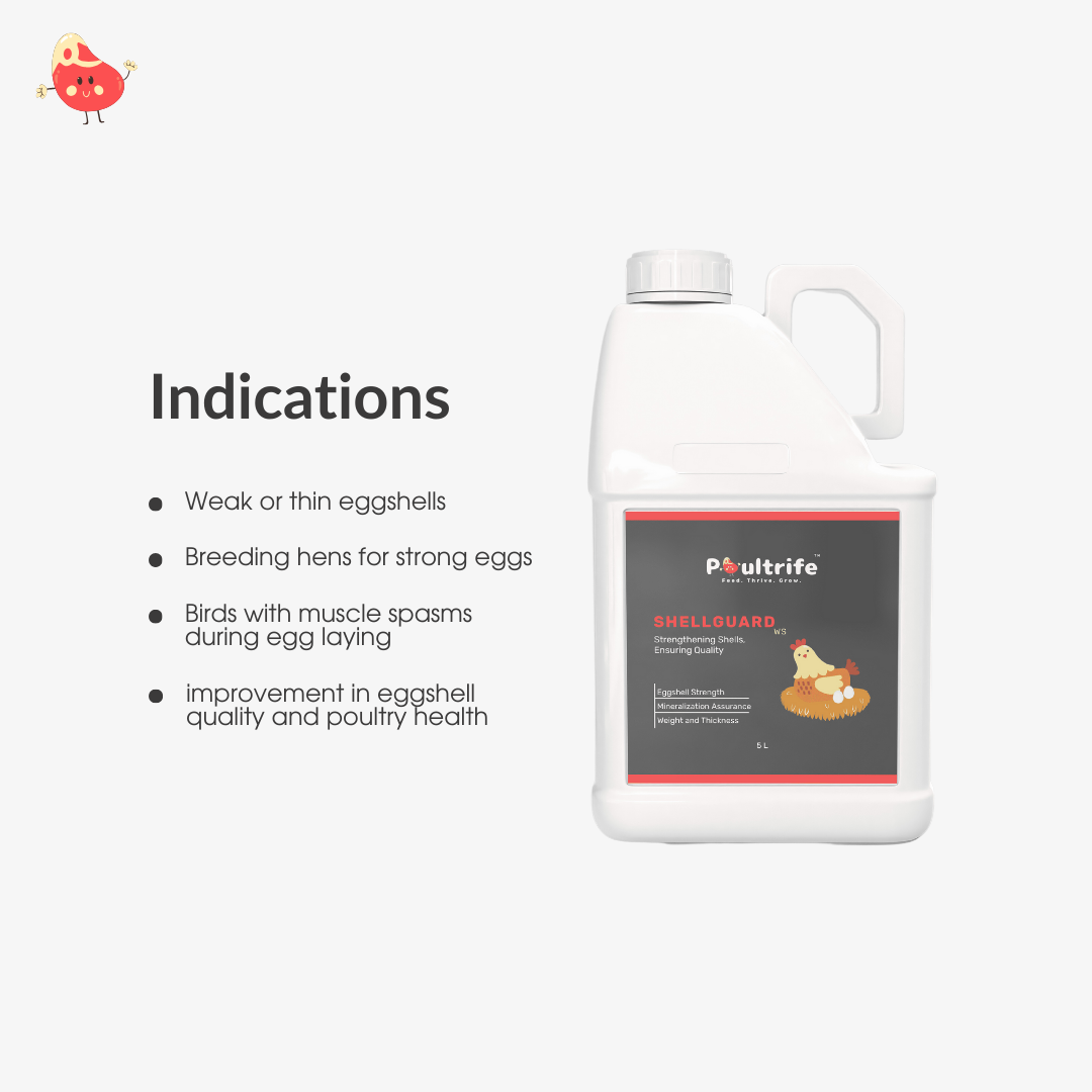 SHELL GUARD WS – Eggshell Quality via Water