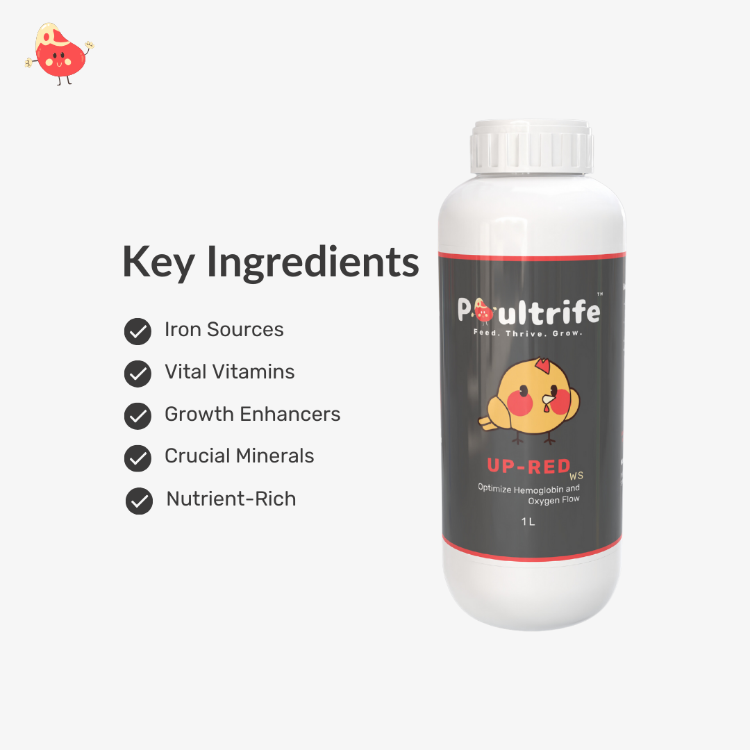 UP-RED WS – Weight Booster + Iron Tonic for Poultry