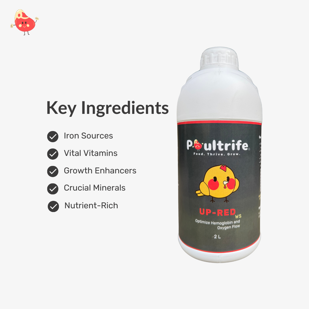 UP-RED WS – Weight Booster + Iron Tonic for Poultry