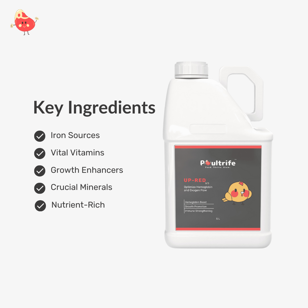UP-RED WS – Weight Booster + Iron Tonic for Poultry