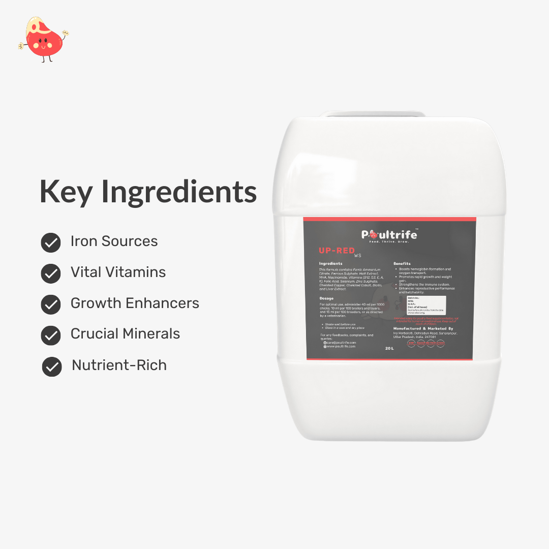 UP-RED WS – Weight Booster + Iron Tonic for Poultry