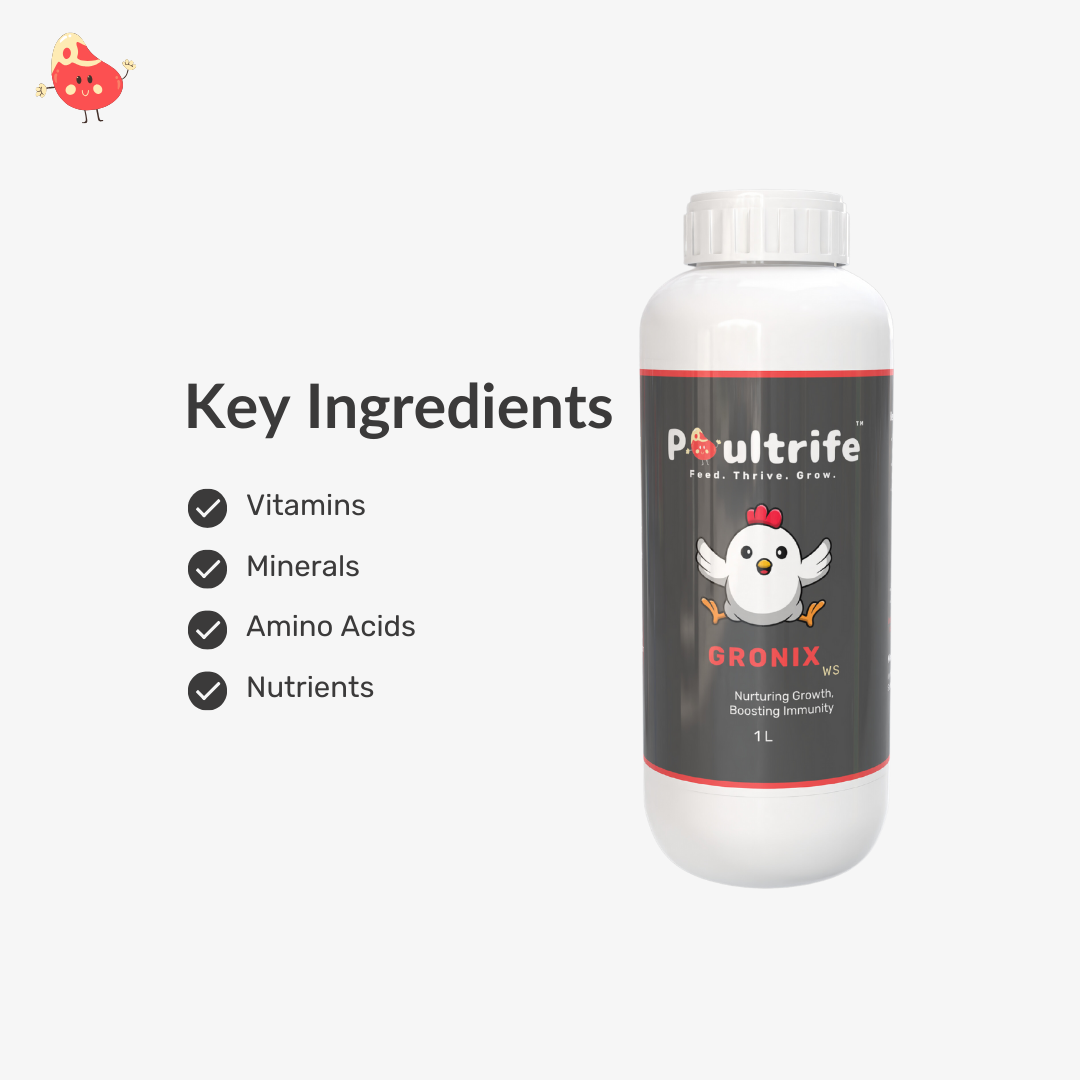 GRONIX WS – Complete Starter Tonic for Young Chicks GRONIX WS – Complete Starter Tonic for Young Chicks