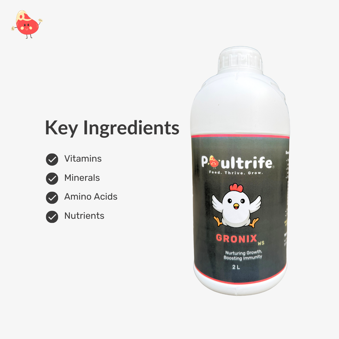 GRONIX WS – Complete Starter Tonic for Young Chicks GRONIX WS – Complete Starter Tonic for Young Chicks