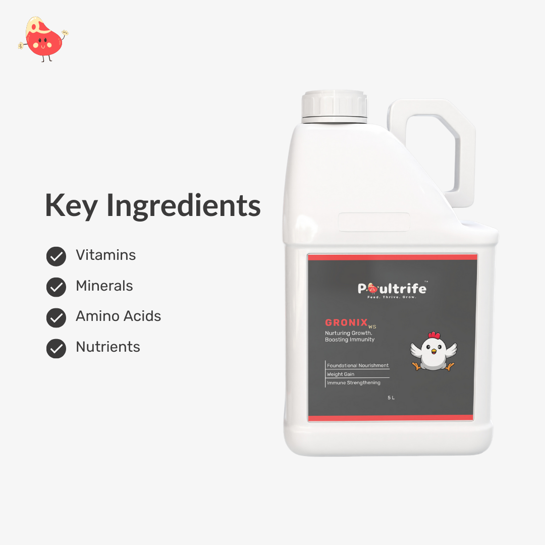 GRONIX WS – Complete Starter Tonic for Young Chicks GRONIX WS – Complete Starter Tonic for Young Chicks