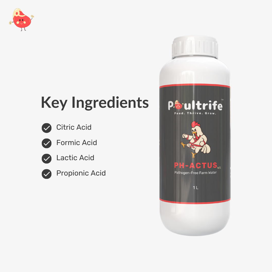 PH-ACTUS WS – Clean Water, Healthy Poultry