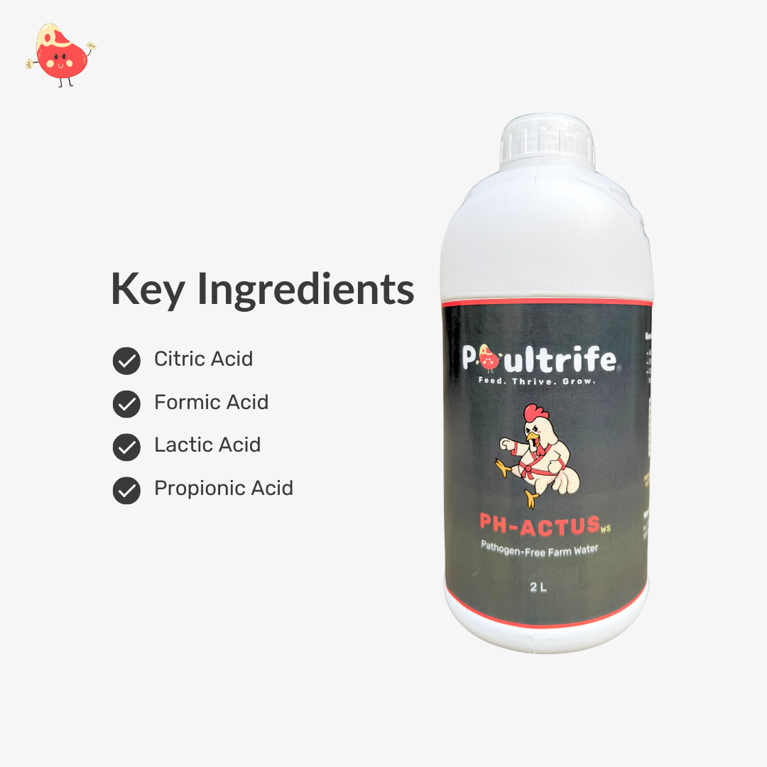 PH-ACTUS WS – Clean Water, Healthy Poultry