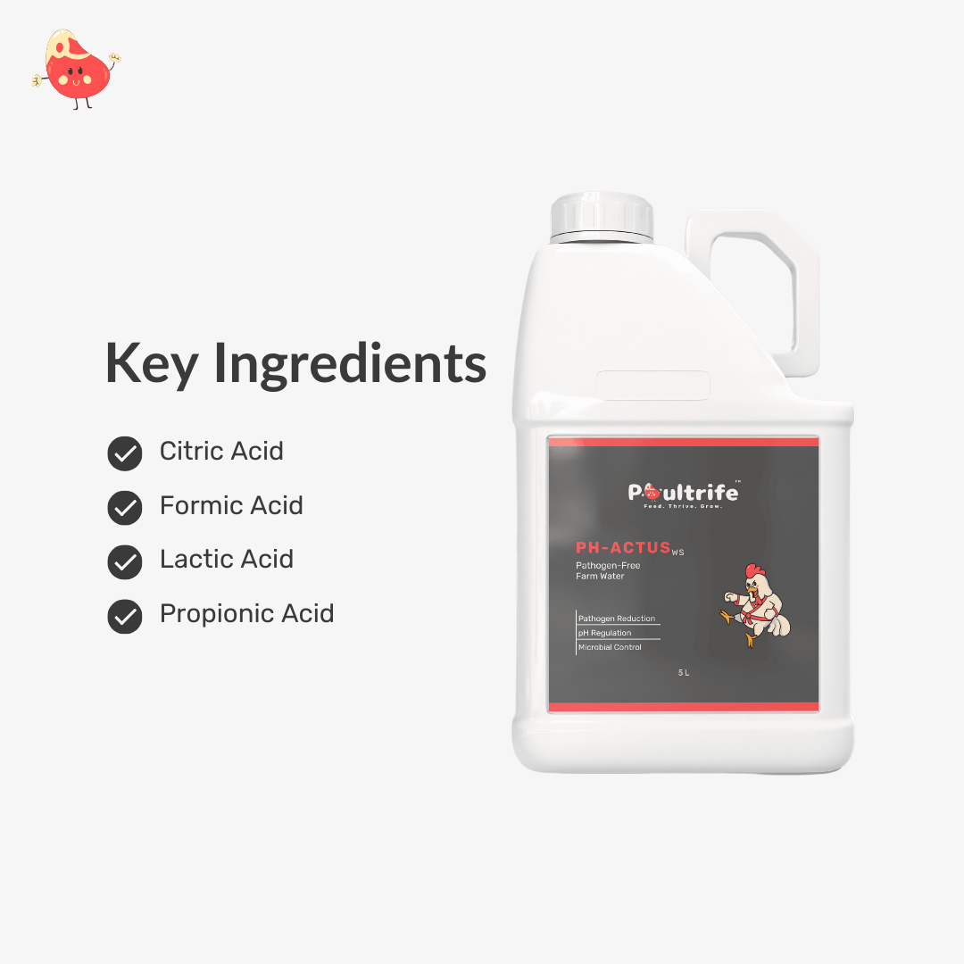 PH-ACTUS WS – Clean Water, Healthy Poultry