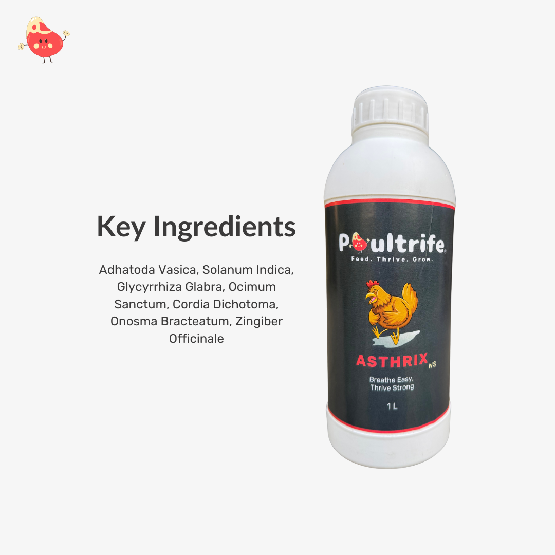 ASTHRIX WS – Herbal Relief for Respiratory Health in Poultry