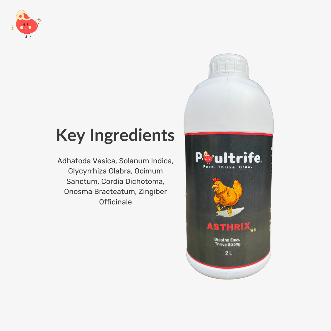 ASTHRIX WS – Herbal Relief for Respiratory Health in Poultry