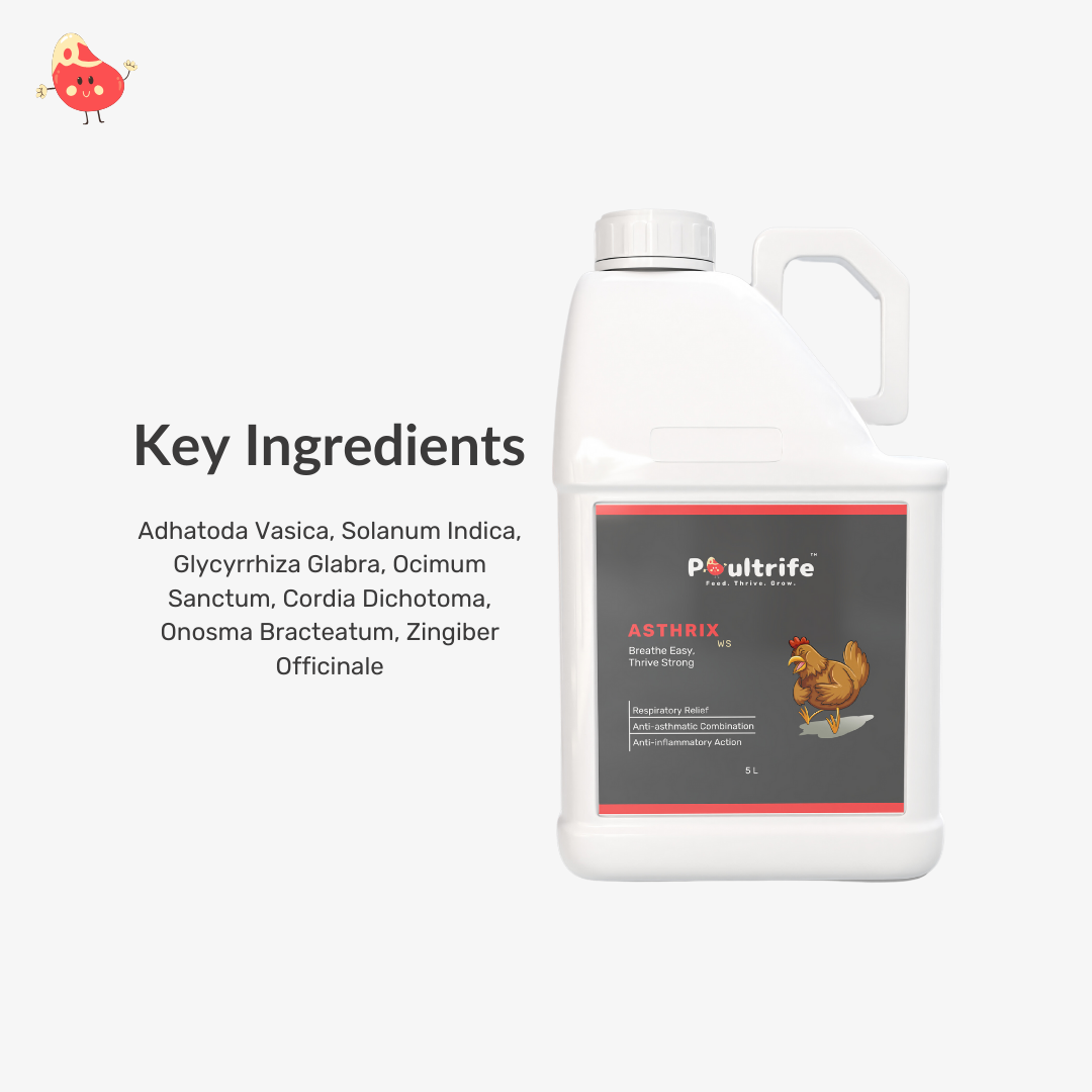 ASTHRIX WS – Herbal Relief for Respiratory Health in Poultry