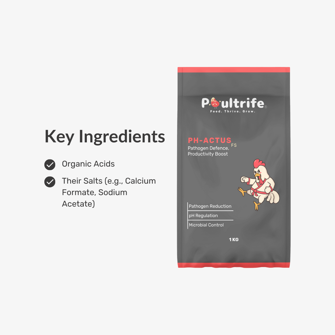 PH-ACTUS FS – Feed Acidifier for Gut Health & Pathogen Control