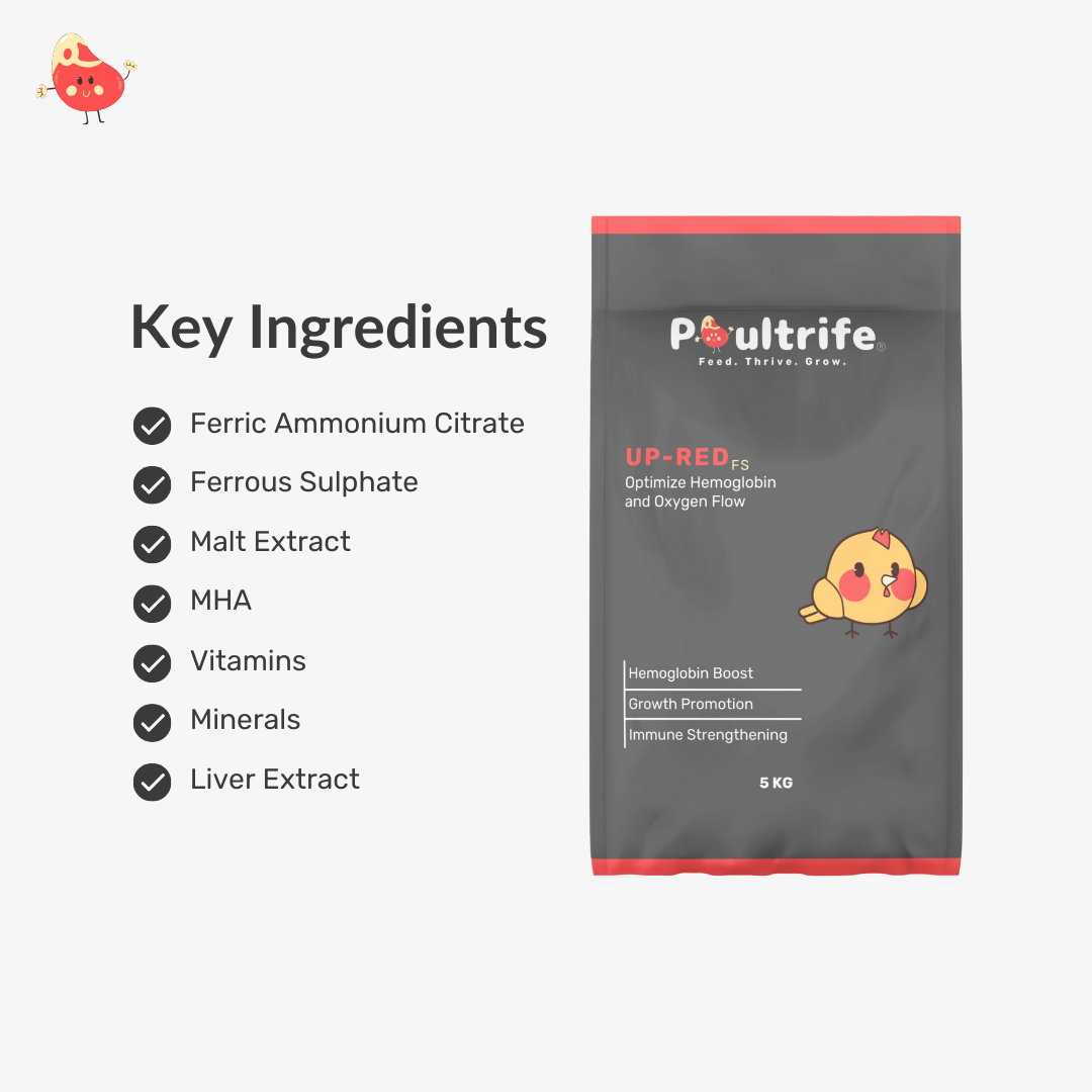 UP-RED FS – Hemoglobin Booster for Growth & Immunity