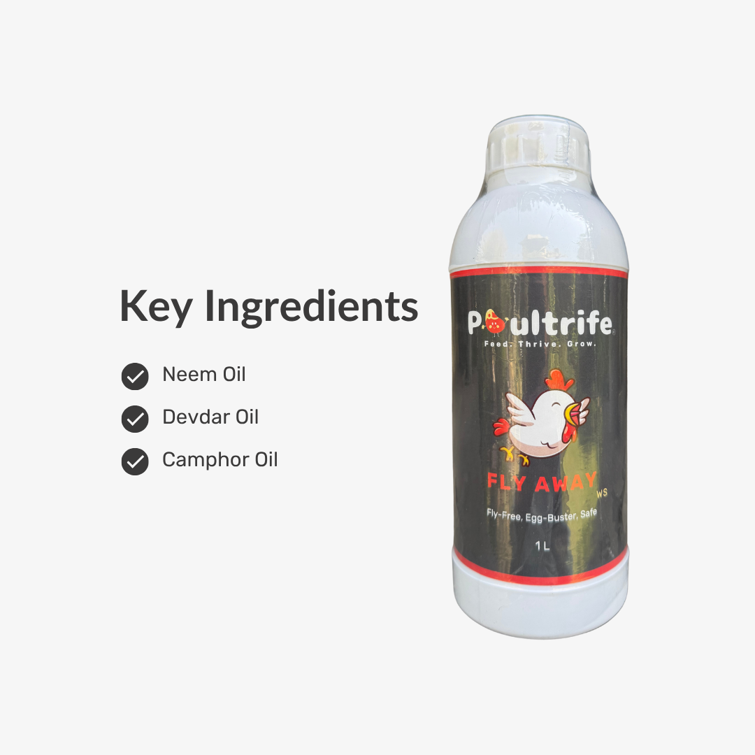 Fly Away WS – Natural Fly Repellent for Poultry