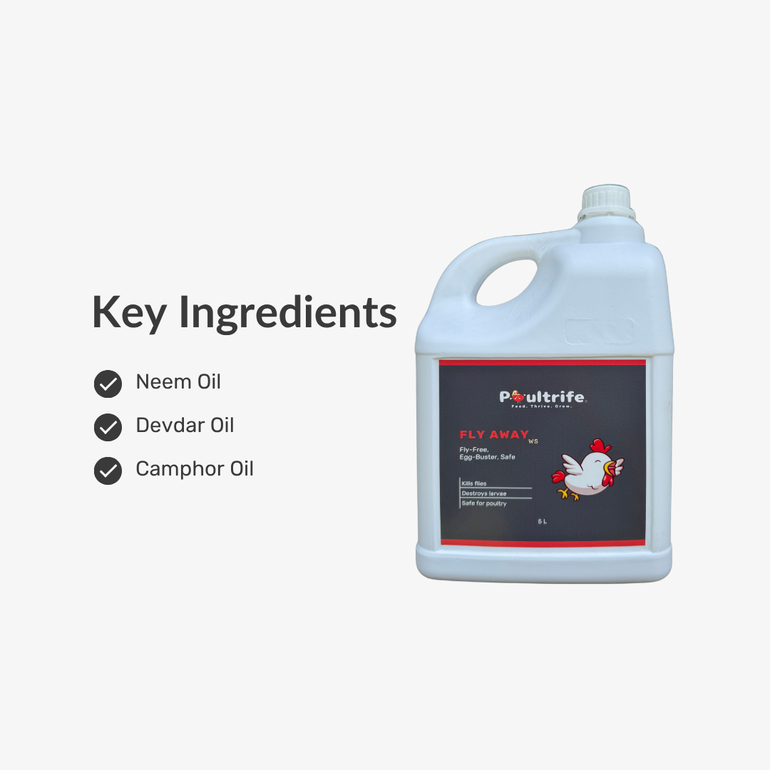 Fly Away WS – Natural Fly Repellent for Poultry