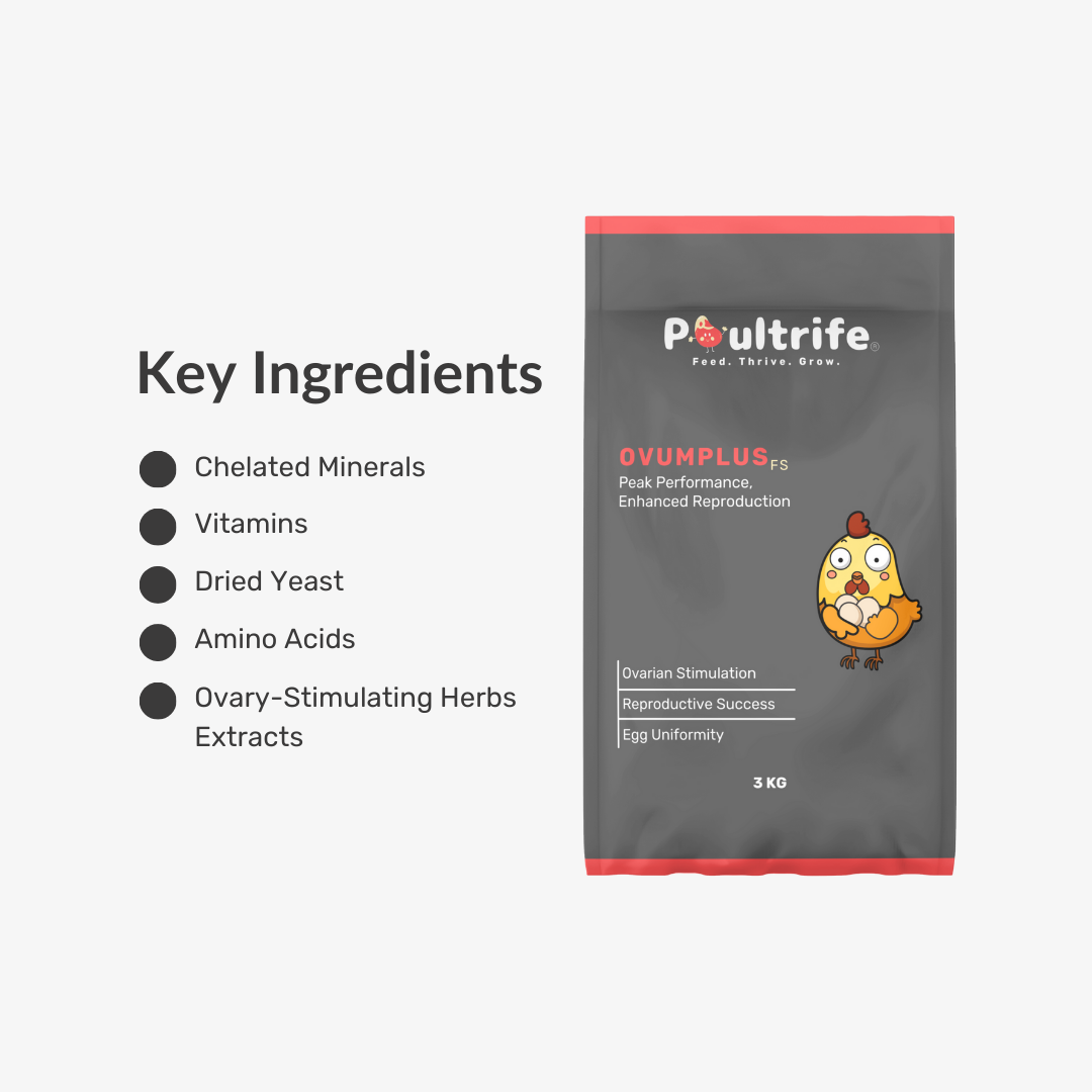 OVUMPLUS FS – Peak Reproductive Performance Feed Supplement