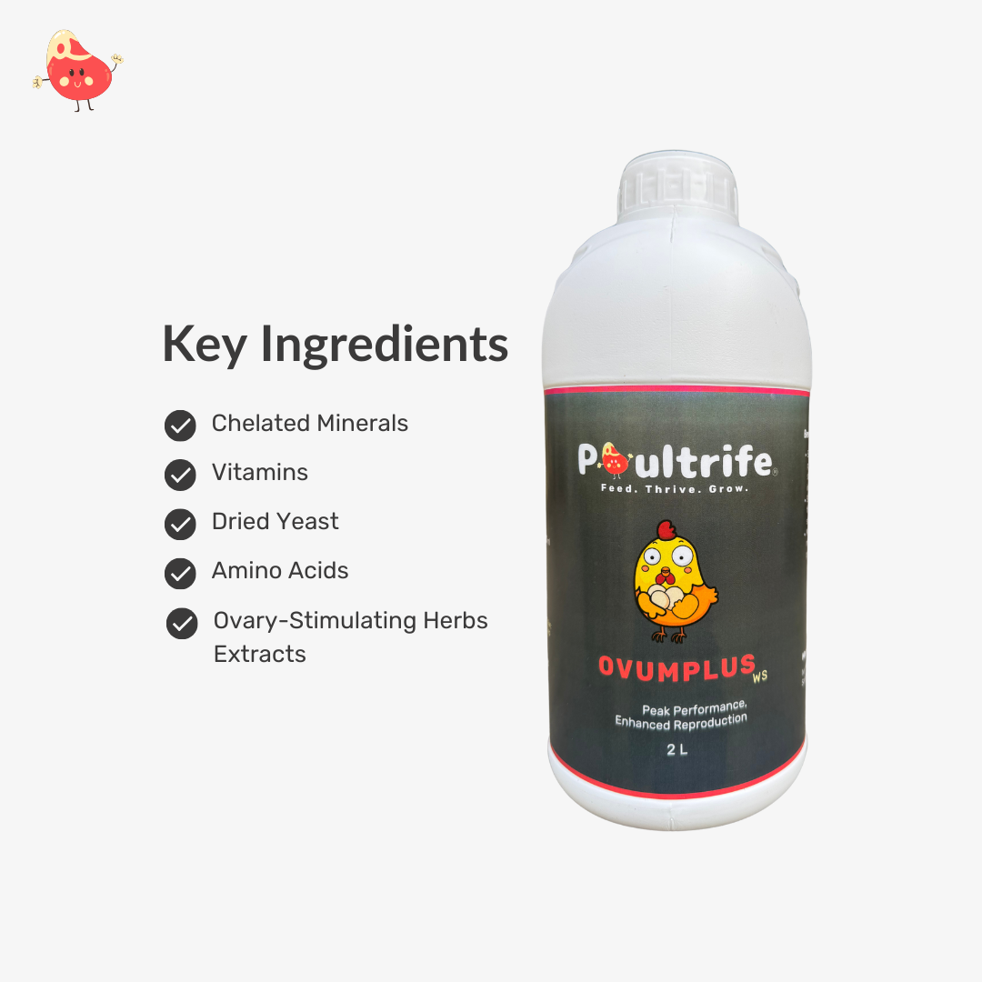OVUMPLUS WS – Reproductive Performance via Water