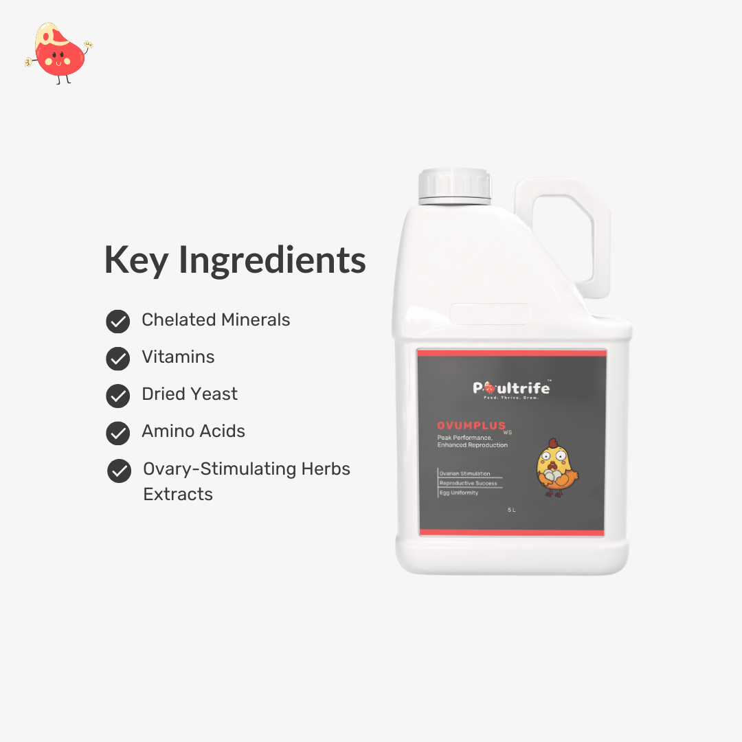 OVUMPLUS WS – Reproductive Performance via Water