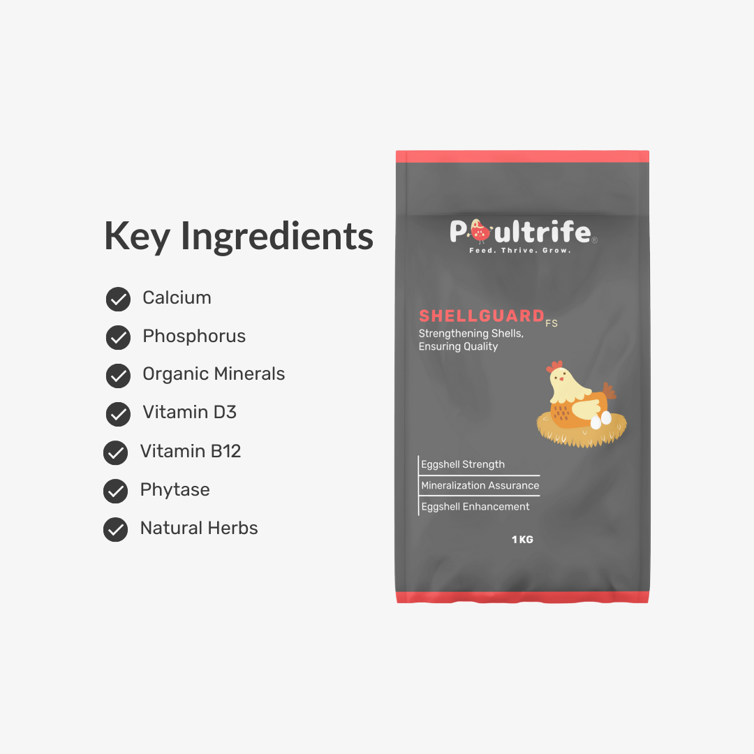 SHELL GUARD FS – Eggshell Strength Feed Supplement SHELL GUARD FS – Eggshell Strength Feed Supplement