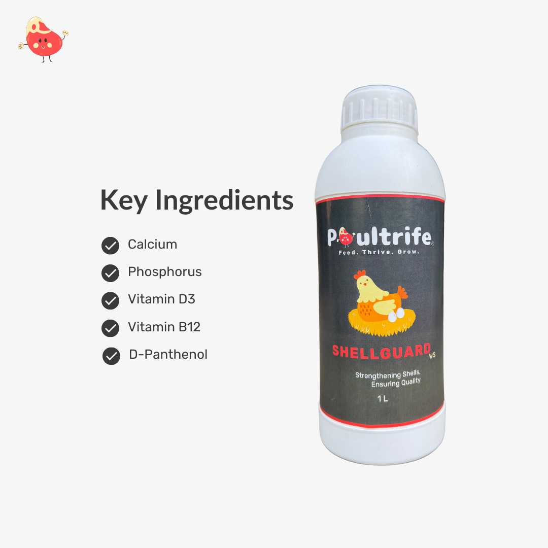 SHELL GUARD WS – Eggshell Quality via Water