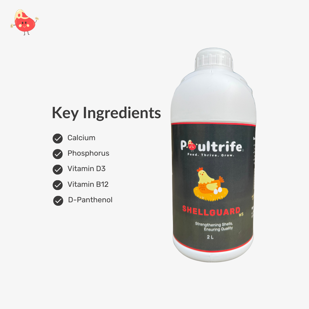SHELL GUARD WS – Eggshell Quality via Water