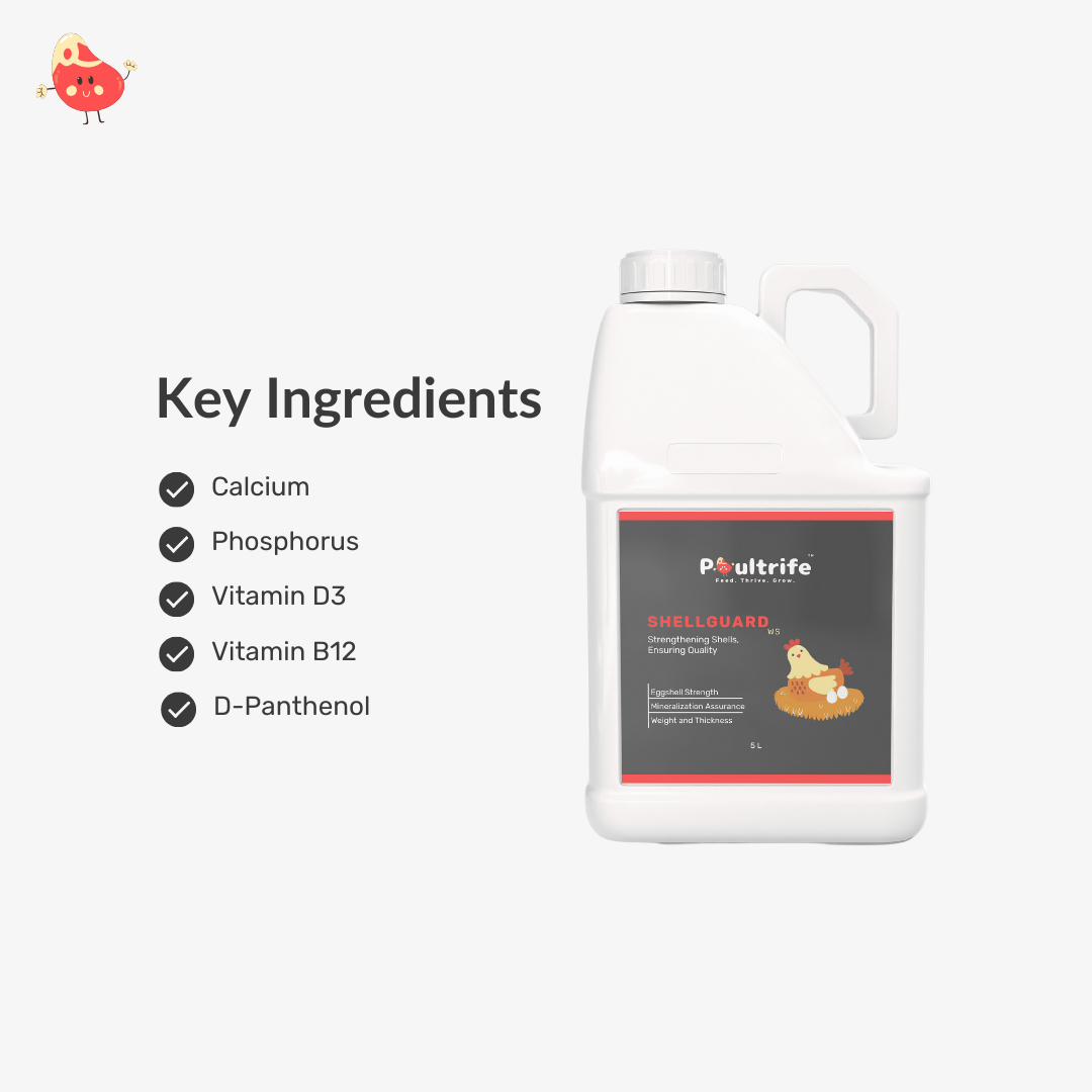 SHELL GUARD WS – Eggshell Quality via Water