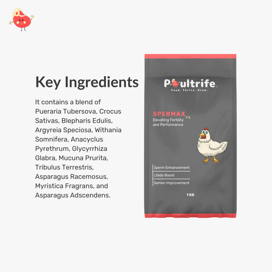 SPERMAX FS – Fertility Booster Through Feed