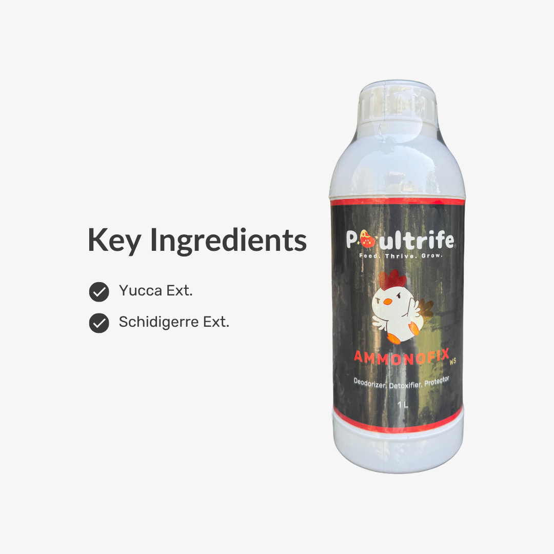 AMMONOFIX WS – Water-Soluble Ammonia Control