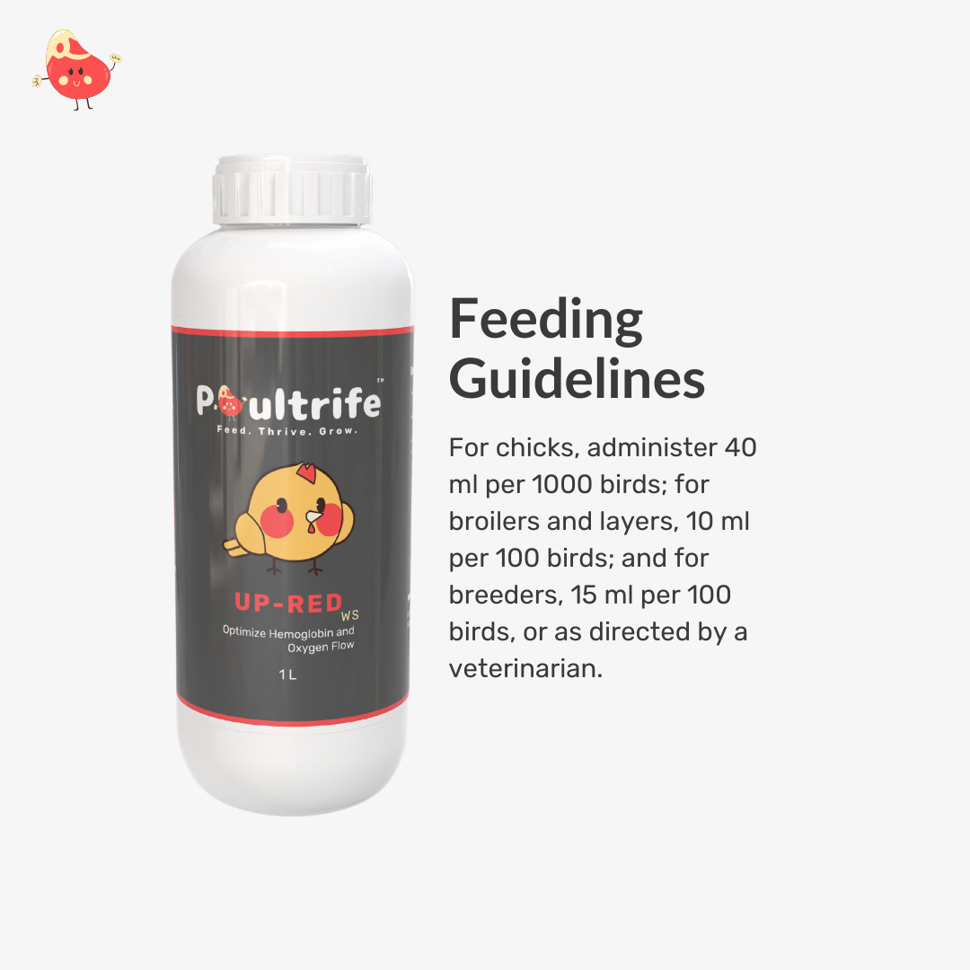 UP-RED WS – Weight Booster + Iron Tonic for Poultry
