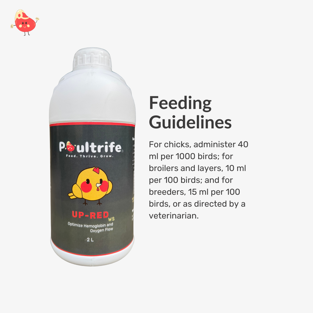 UP-RED WS – Weight Booster + Iron Tonic for Poultry