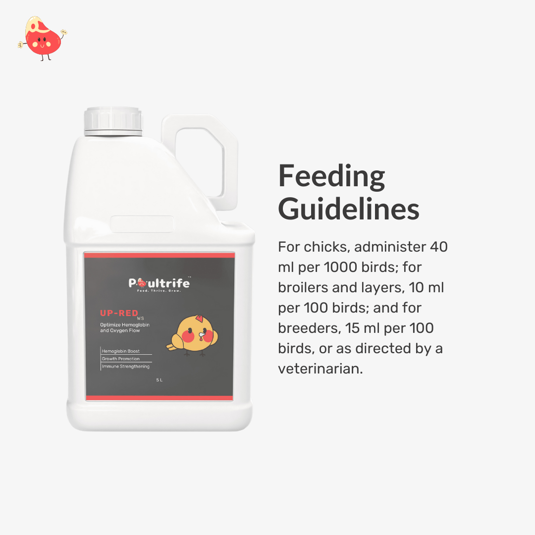 UP-RED WS – Weight Booster + Iron Tonic for Poultry