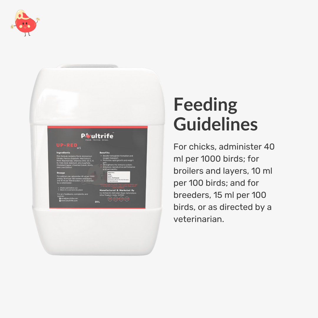 UP-RED WS – Weight Booster + Iron Tonic for Poultry