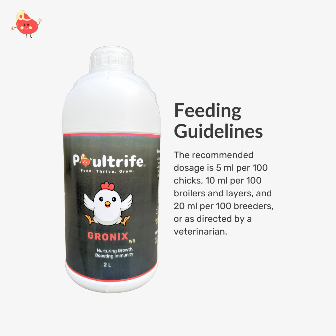 GRONIX WS – Complete Starter Tonic for Young Chicks GRONIX WS – Complete Starter Tonic for Young Chicks
