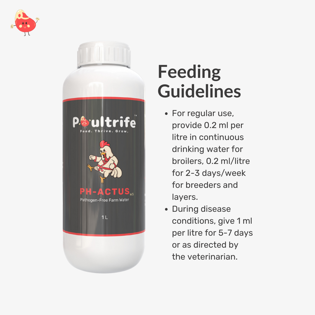 PH-ACTUS WS – Clean Water, Healthy Poultry