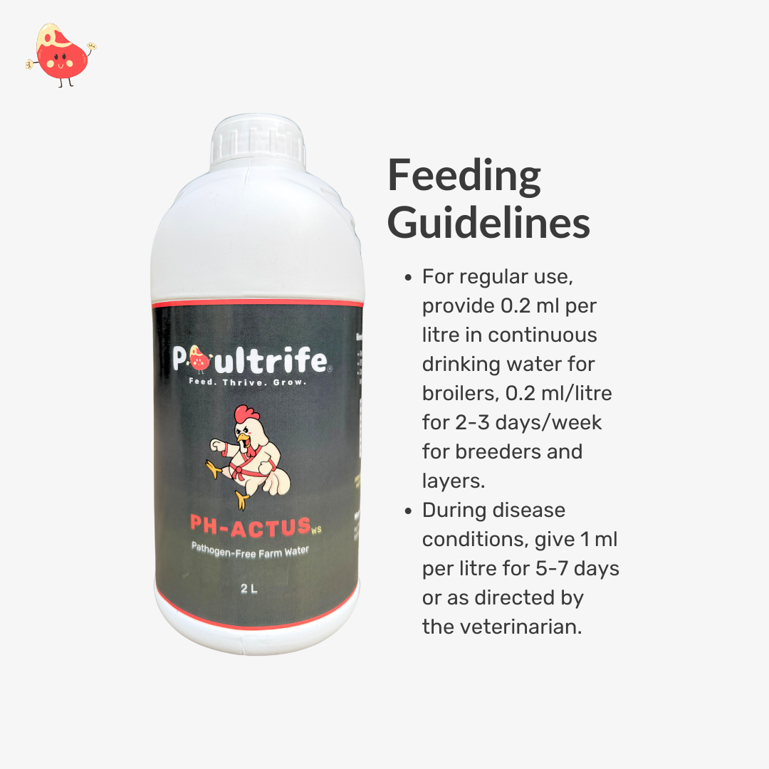PH-ACTUS WS – Clean Water, Healthy Poultry