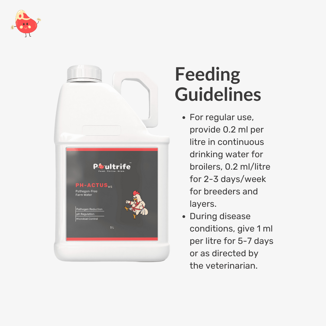 PH-ACTUS WS – Clean Water, Healthy Poultry