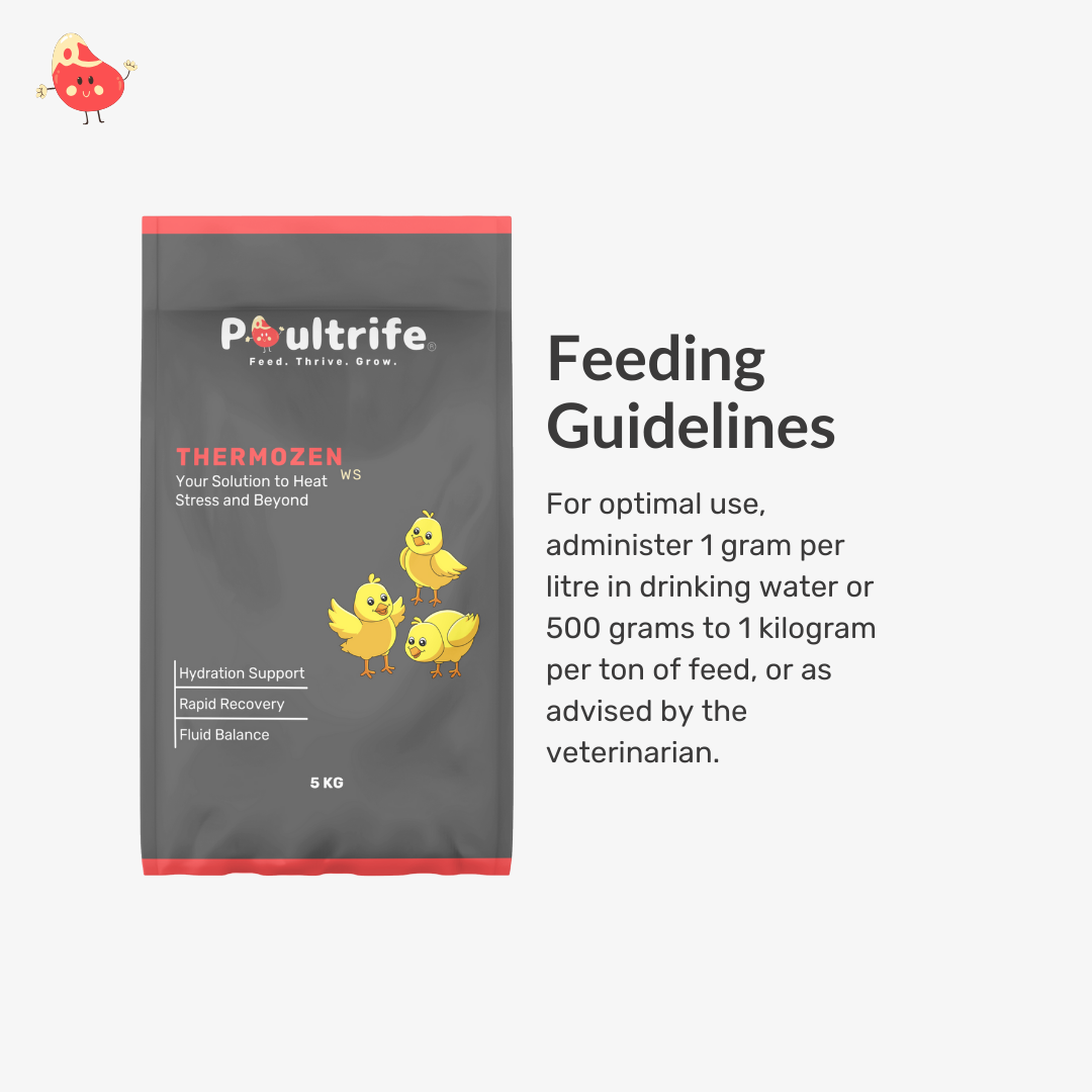 THERMOZEN WS – Combat Heat Stress, Keep Birds Cool