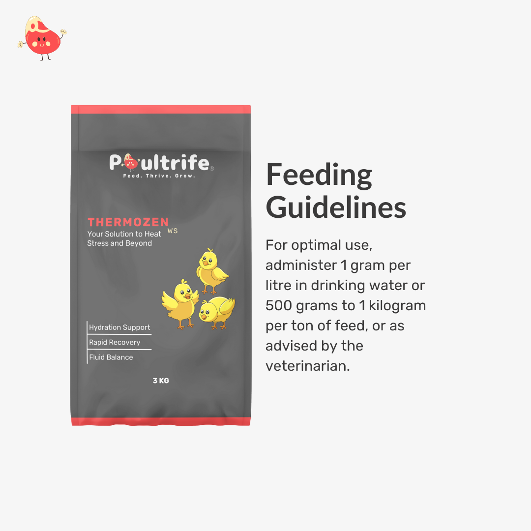 THERMOZEN WS – Combat Heat Stress, Keep Birds Cool