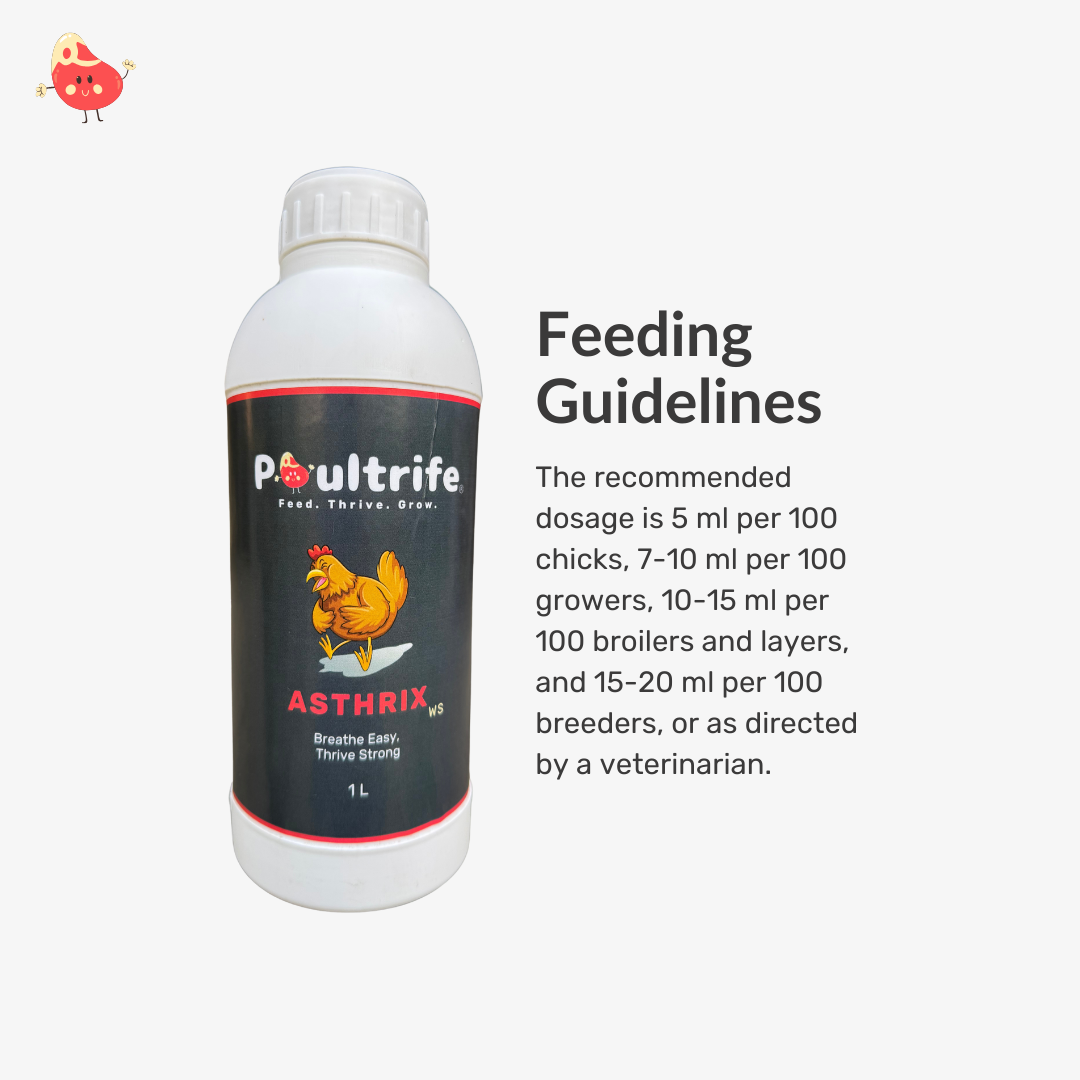 ASTHRIX WS – Herbal Relief for Respiratory Health in Poultry