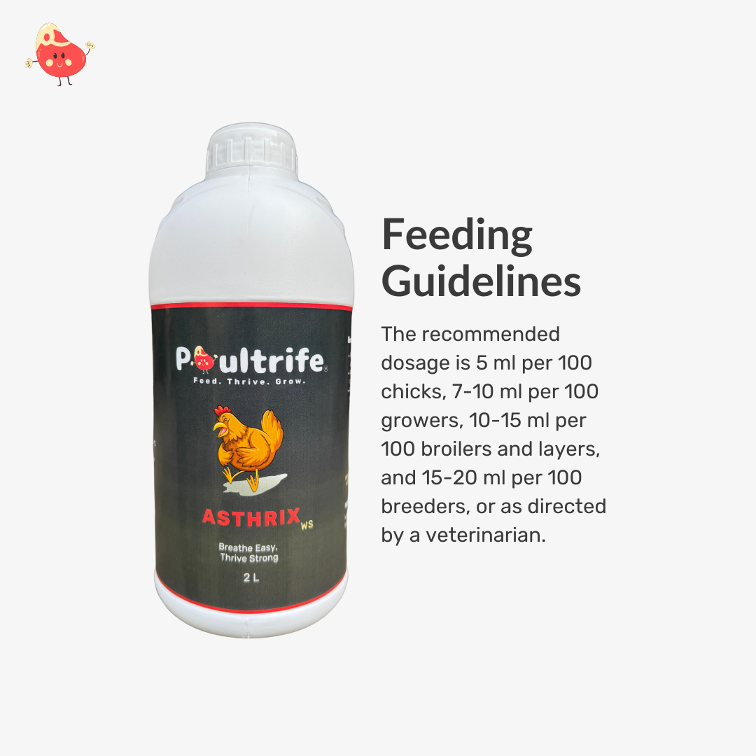 ASTHRIX WS – Herbal Relief for Respiratory Health in Poultry